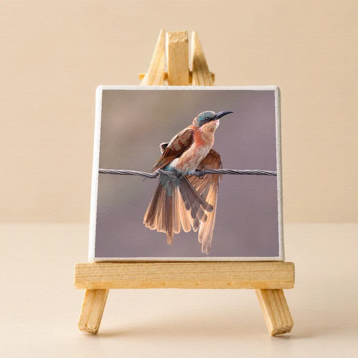 Mini canvas block