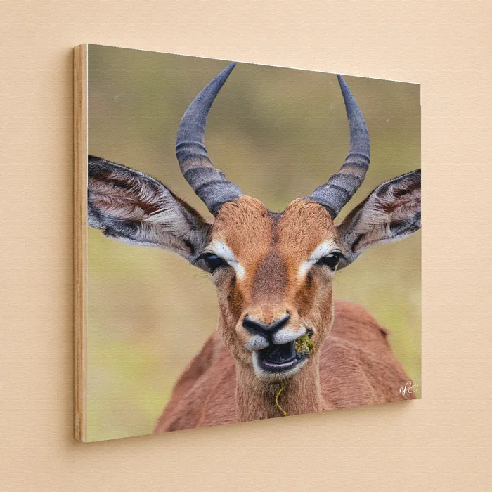 Timber block print of an impala