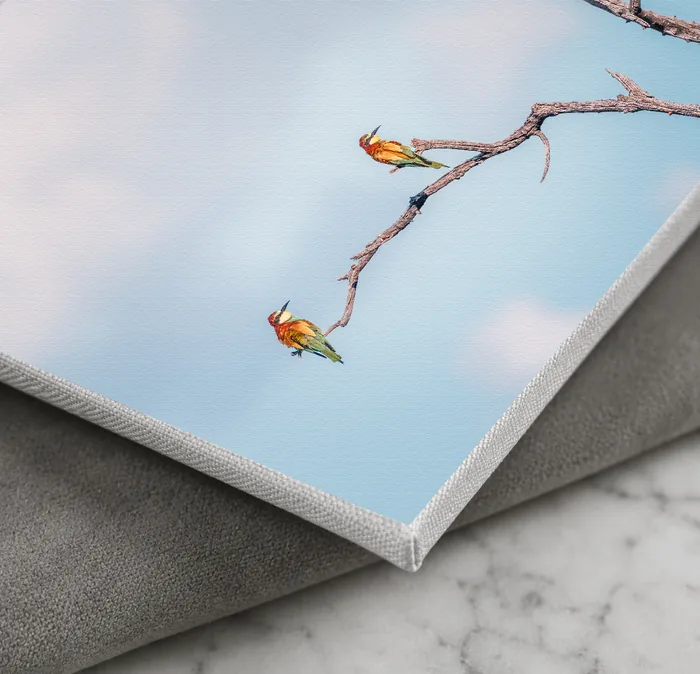 Slim-profile gallery canvas