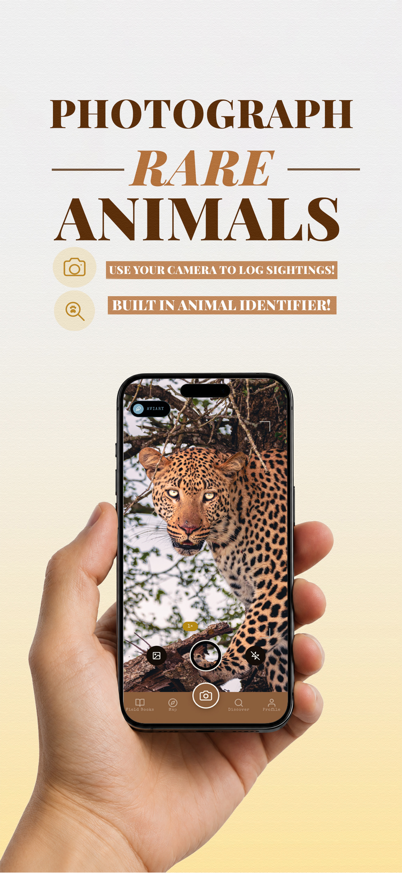 Photographing a leopard through the in-app camera viewfinder